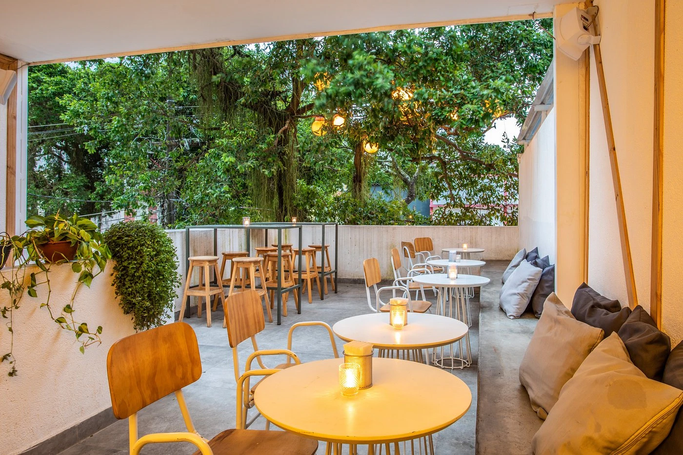 Artisanal Pizzas - Rooftop & Cocktails - Image